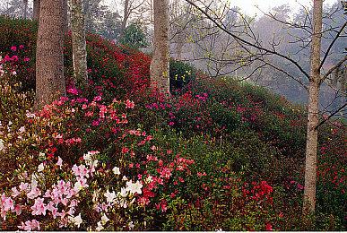 开罗经营游戏《创造都市岛物语》Steam页面上线 发售日期待定